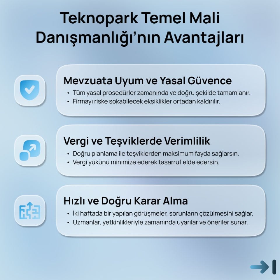 Teknopark Temel Mali Danışmanlığı
