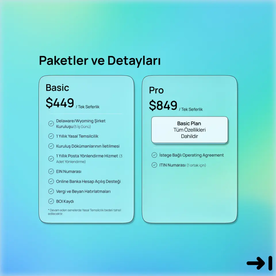 Amerika'da Şirket Kurulumu ve Yönetimi