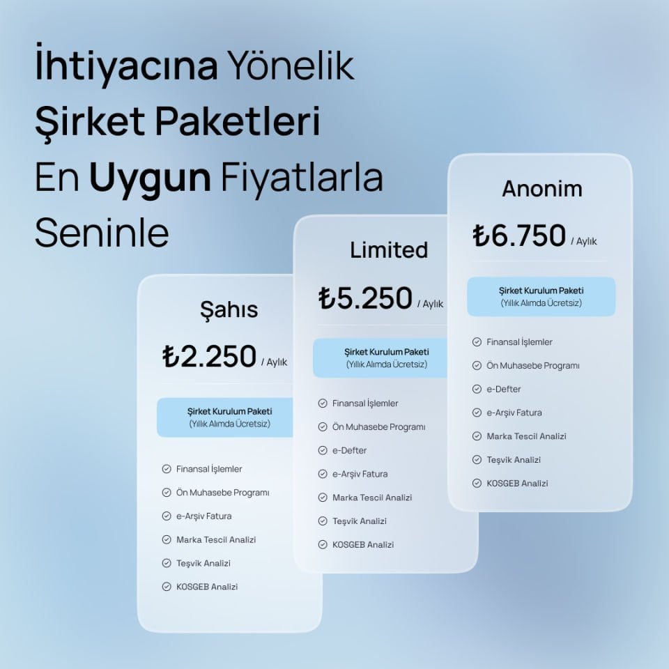 Türkiye'de Şirket Kurulumu ve Yönetimi