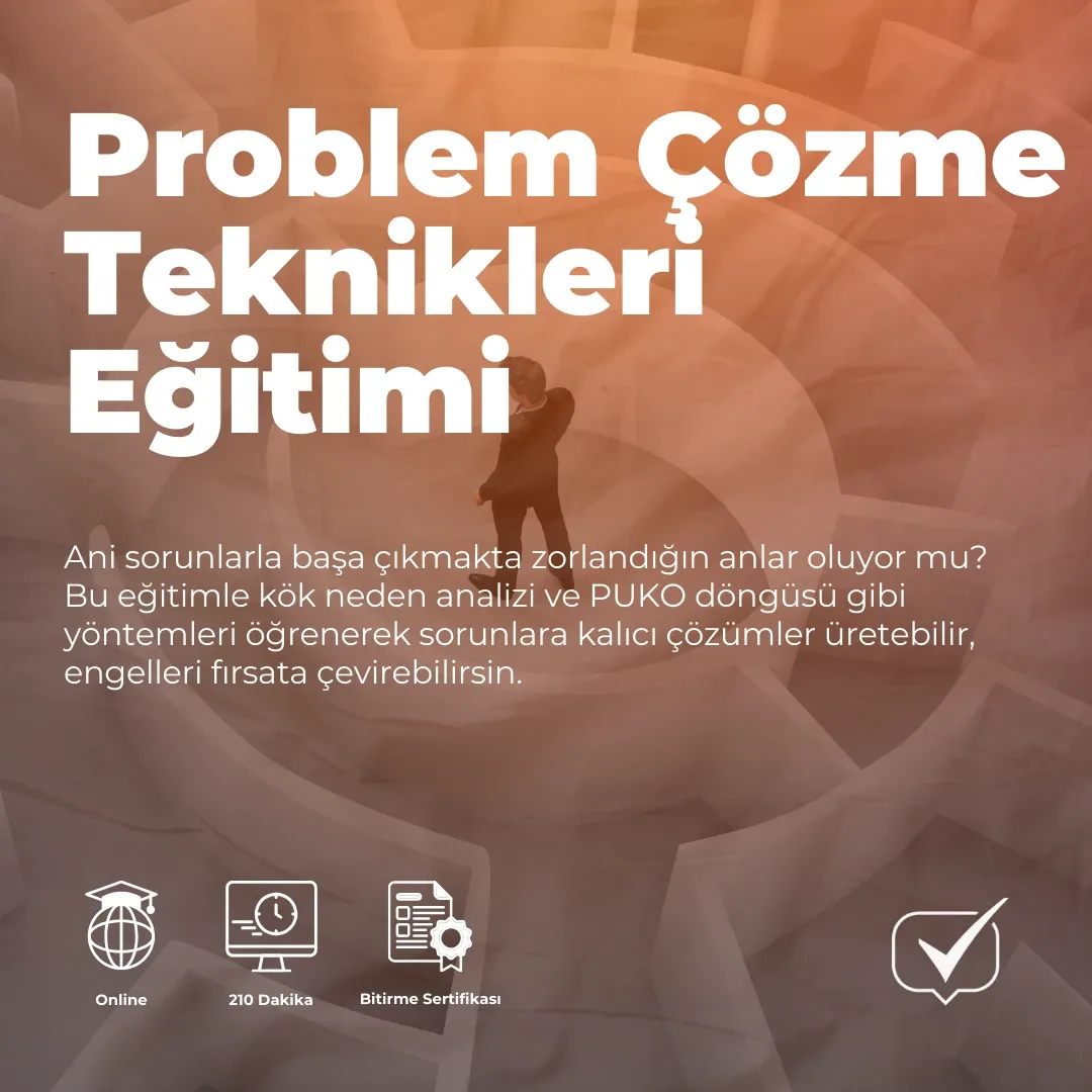 Problem Çözme Teknikleri Eğitimi