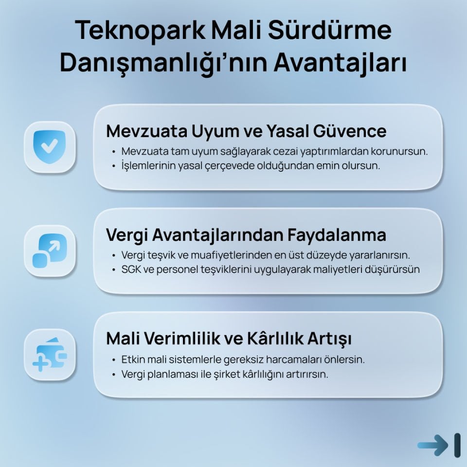 Teknopark Sürdürme Danışmanlığı - MALİ