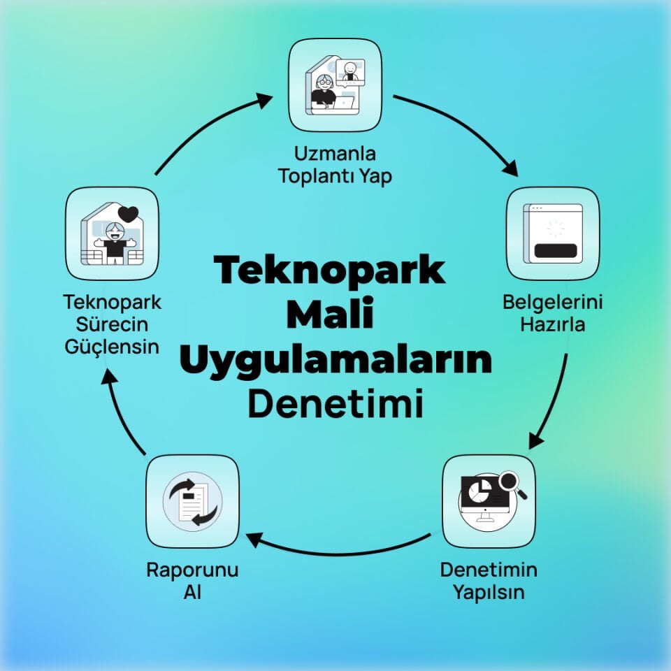 Teknopark Mali Uygulamaların Denetimi
