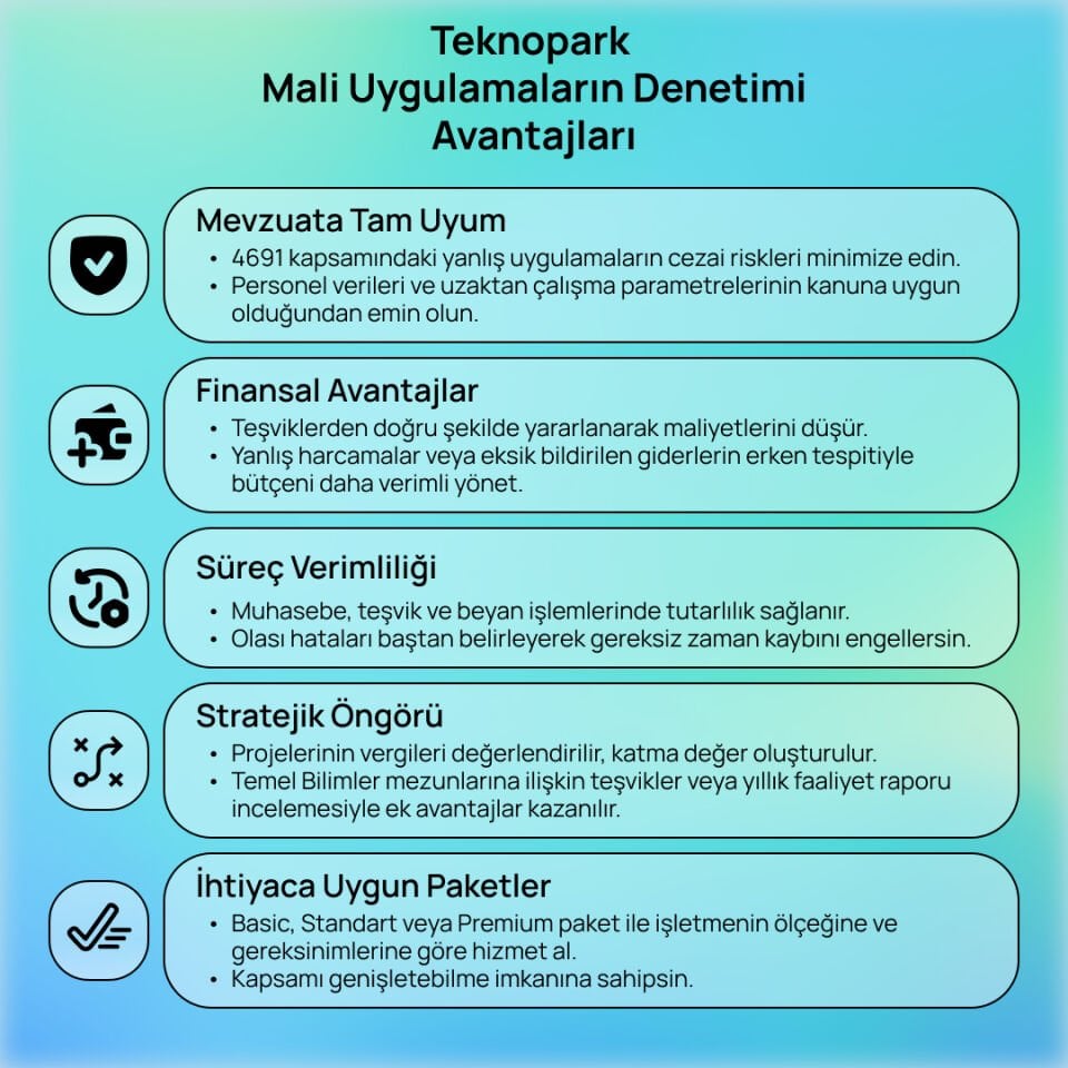 Teknopark Mali Uygulamaların Denetimi