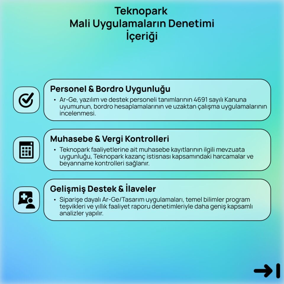 Teknopark Mali Uygulamaların Denetimi