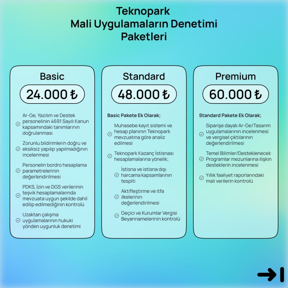 Teknopark Mali Uygulamaların Denetimi