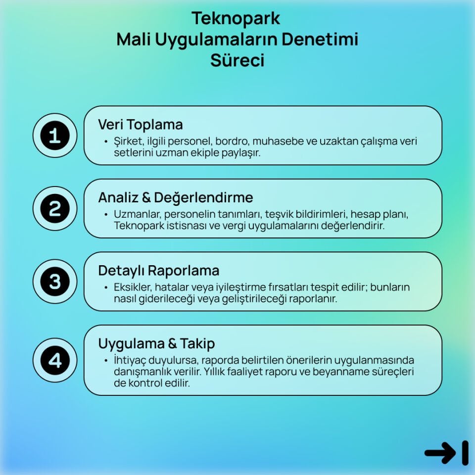 Teknopark Mali Uygulamaların Denetimi