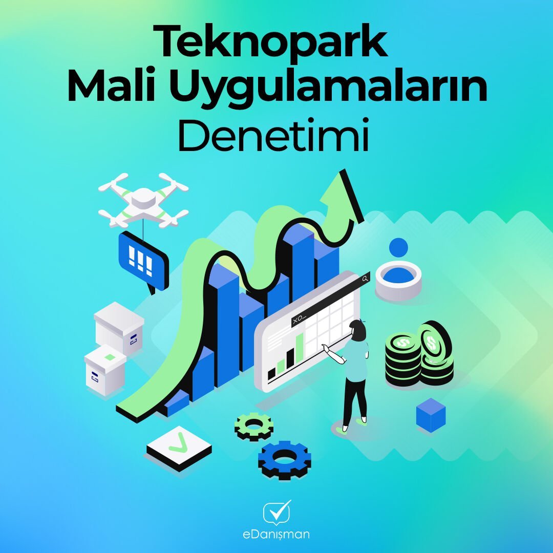Teknopark Mali Uygulamaların Denetimi