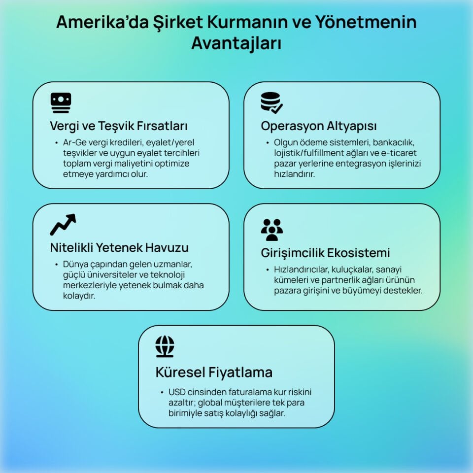 Amerika'da Şirket Kurulumu ve Yönetimi