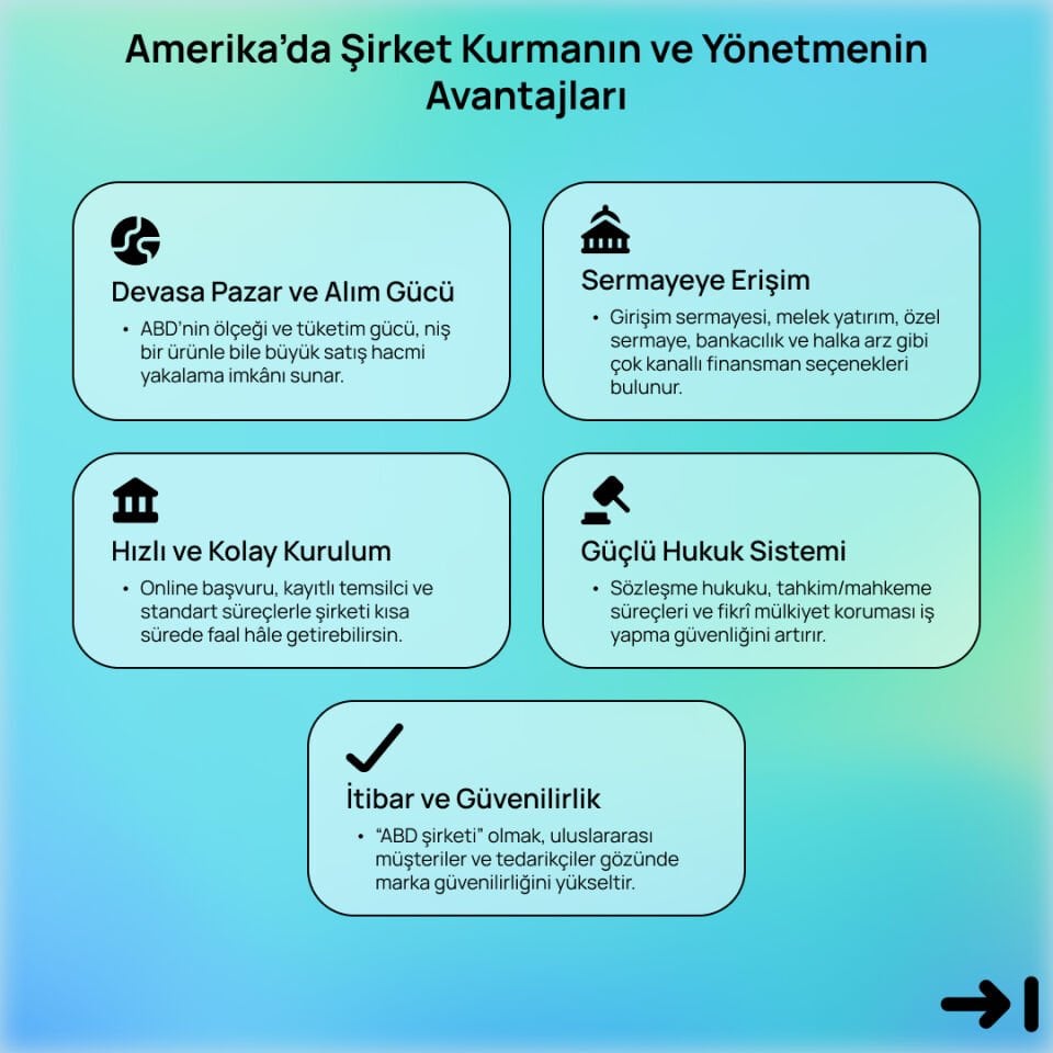 Amerika'da Şirket Kurulumu ve Yönetimi